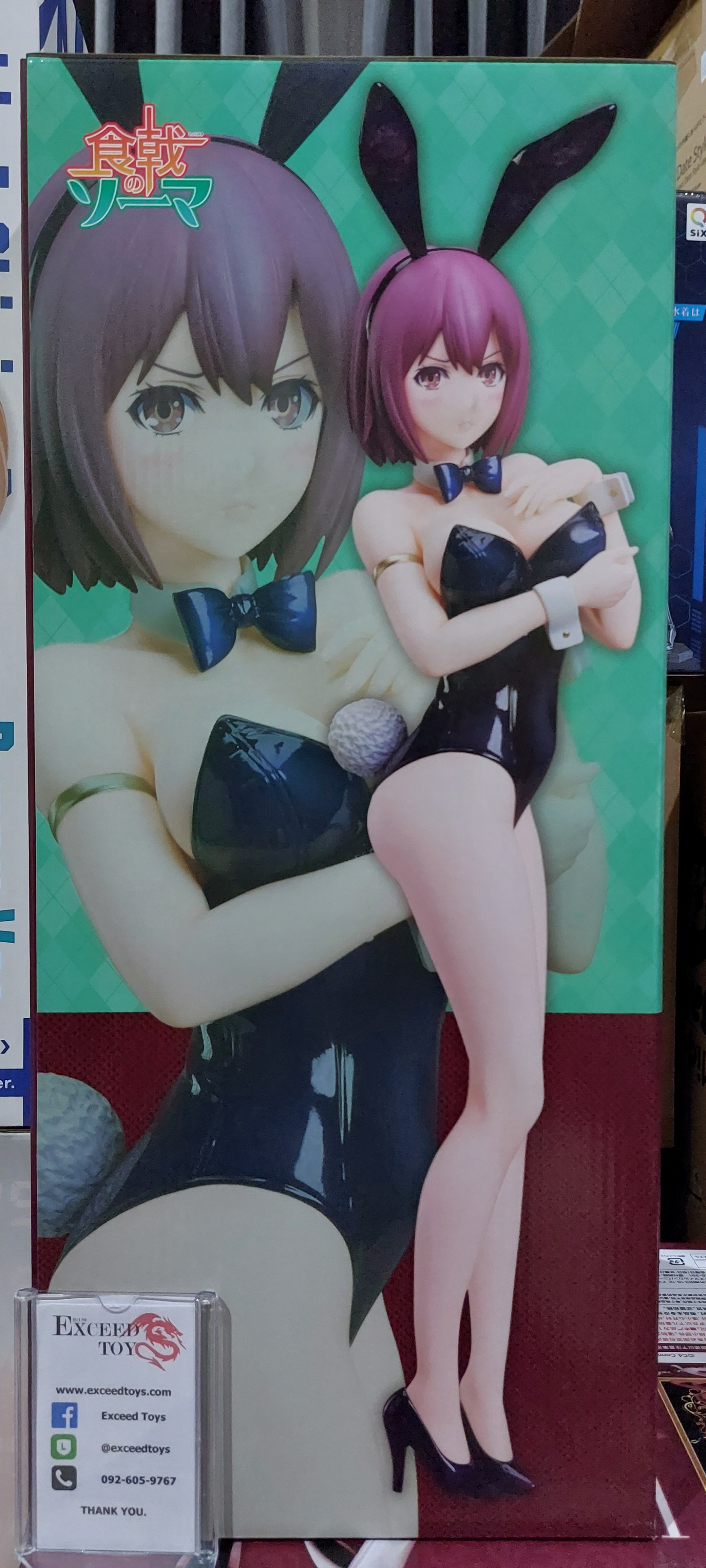 Hisako Arato Bare Leg Bunny Ver.