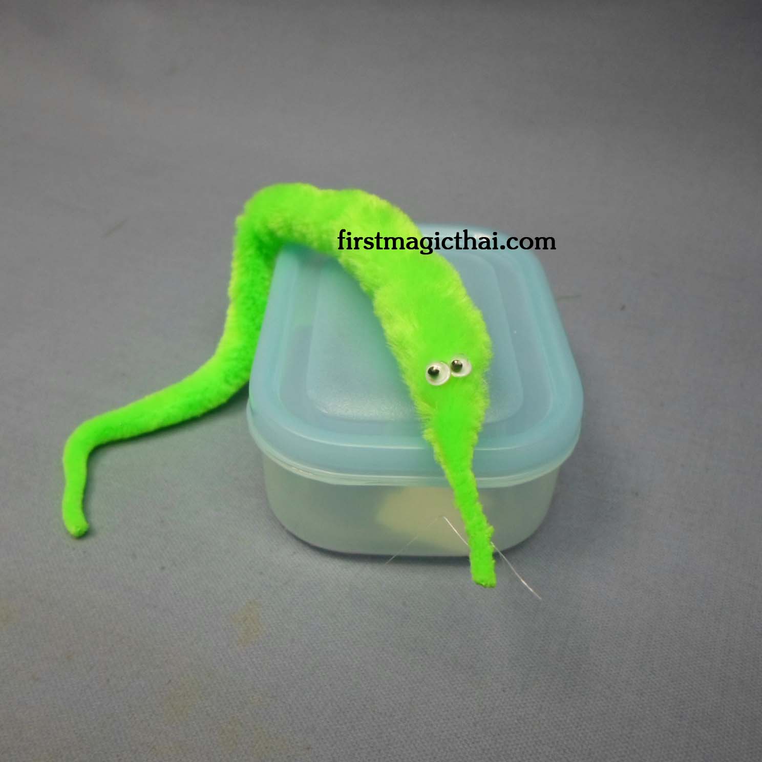 หนอนแสนรู้ (สีเขียว) / Magic Worm