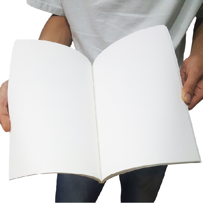 MICKEY MOUSE & FRIENDS MAGICBOOK