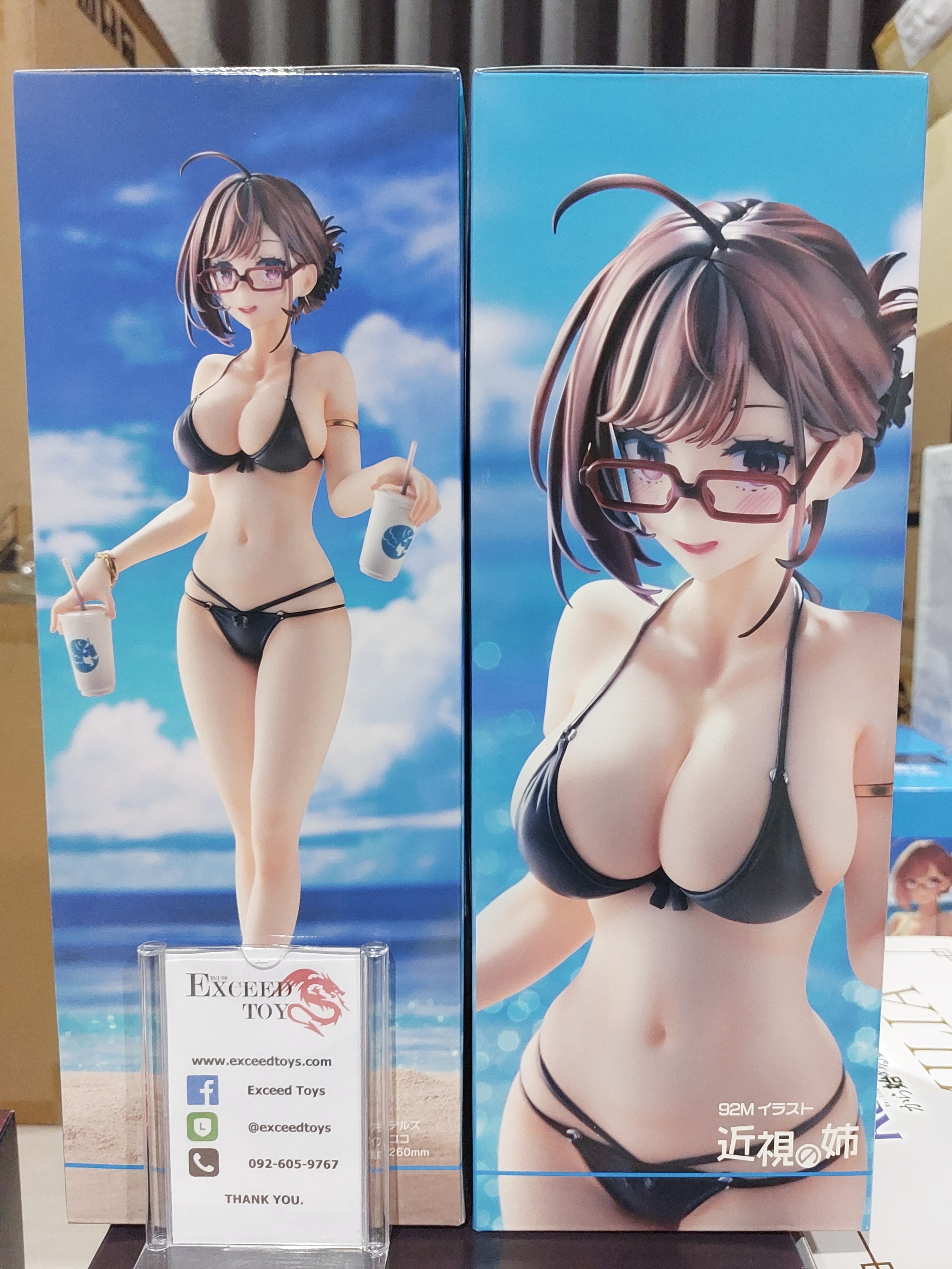 Kinshi no Ane Swimsuit Ver.
