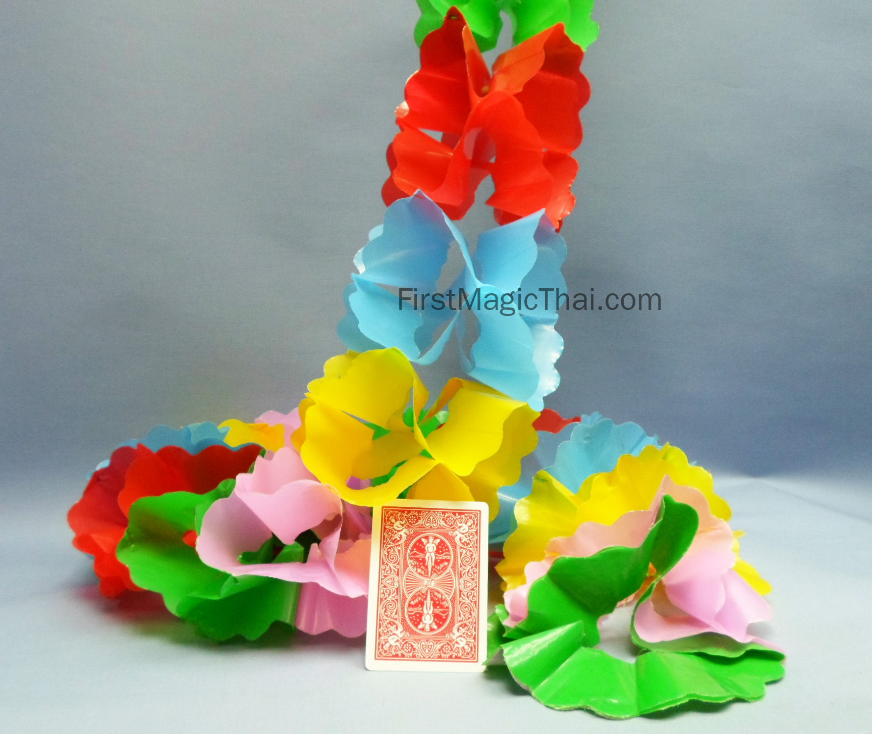 สายรุ้ง Size ใหญ่