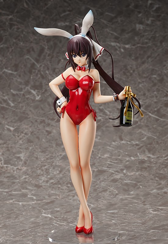 Houki Shinonono Bare Leg Bunny Ver.