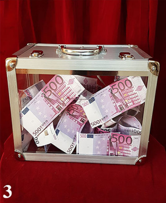 Tora Glassy Briefcase (4 Times)