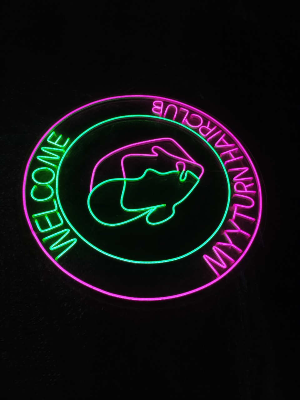 งานไฟนีออนดัด led