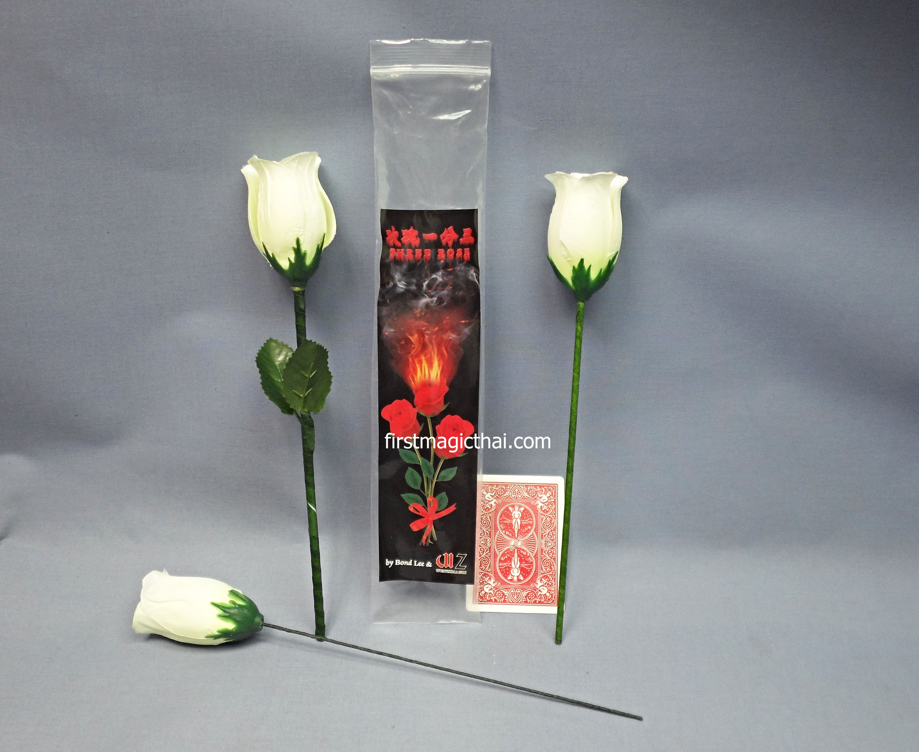 ดอกไม้ แฟรช ทวีคูณ 3ดอก สีขาว / White Three Rose by Bond Lee & Wenzi Magic