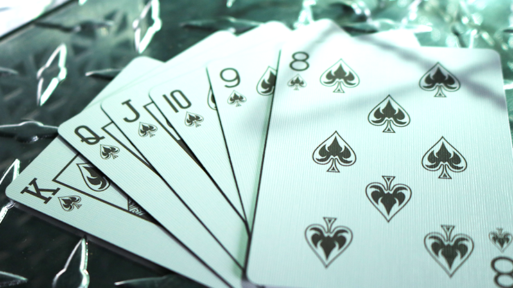 Bicycle Limited Edition Gyrfalcon Playing Cards