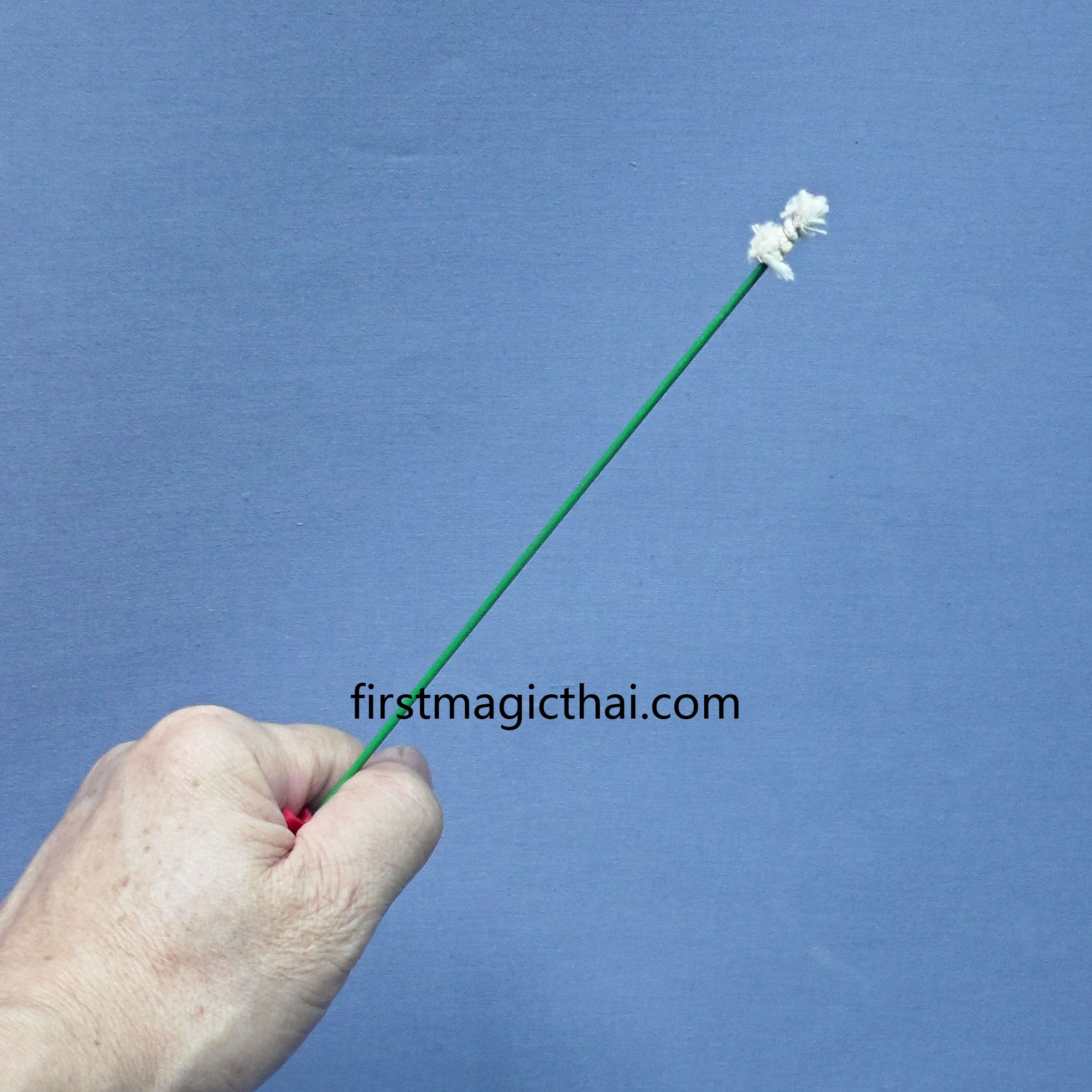 คบเพลิงดอกไม้ รุ่นใหม่ / Torch to Rose