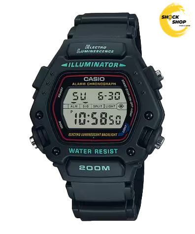 CASIO นาฬิกาผู้ชาย รุ่น DW-290-1VS คาสิโอ