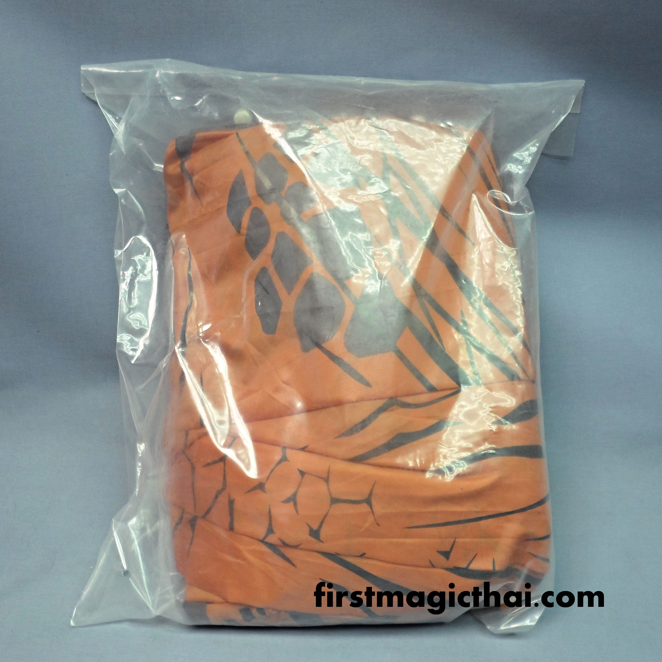 ชุด ไดโนเสาร์ เป่าลม ไซซ์ใหญ่