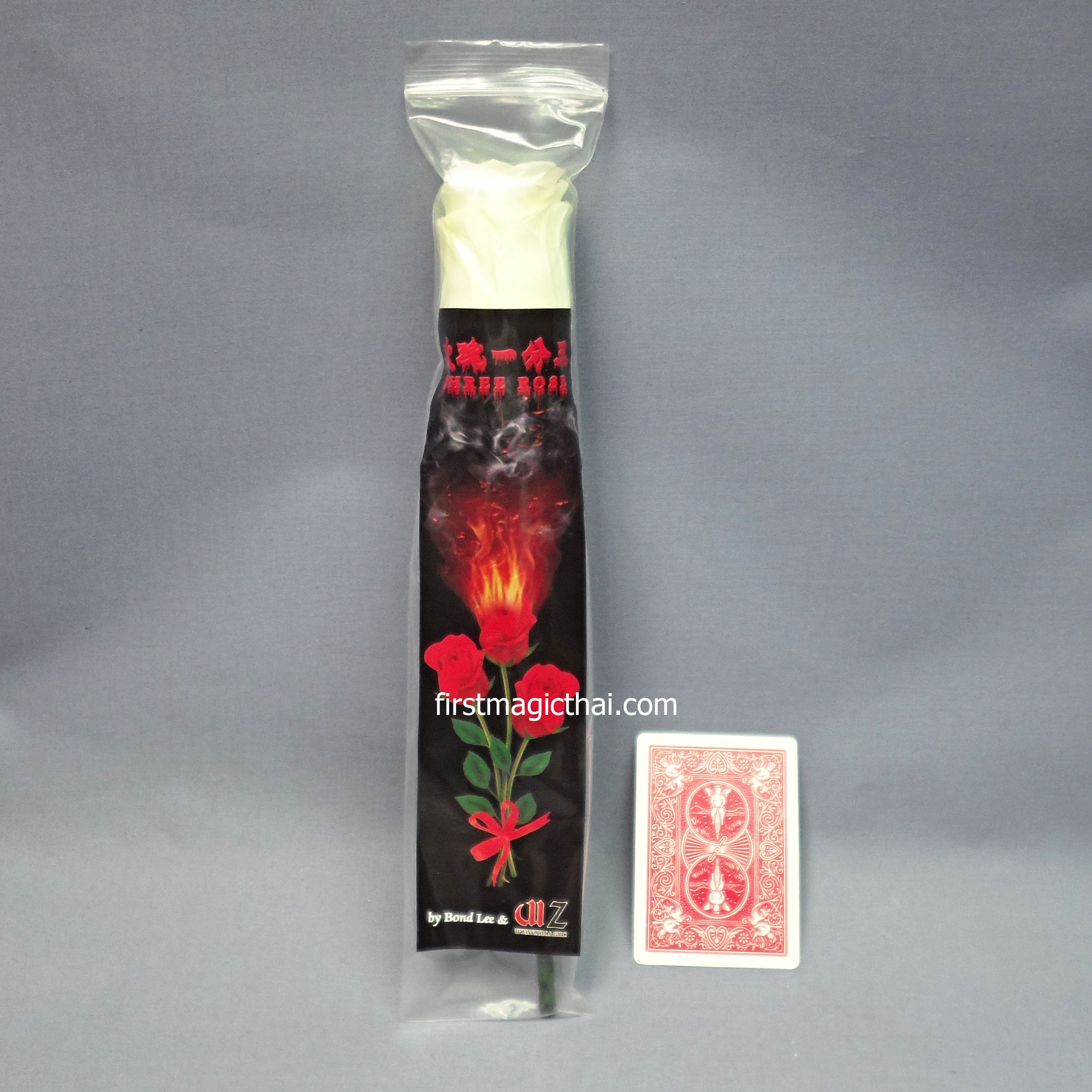 ดอกไม้ แฟรช ทวีคูณ 3ดอก สีขาว / White Three Rose by Bond Lee & Wenzi Magic