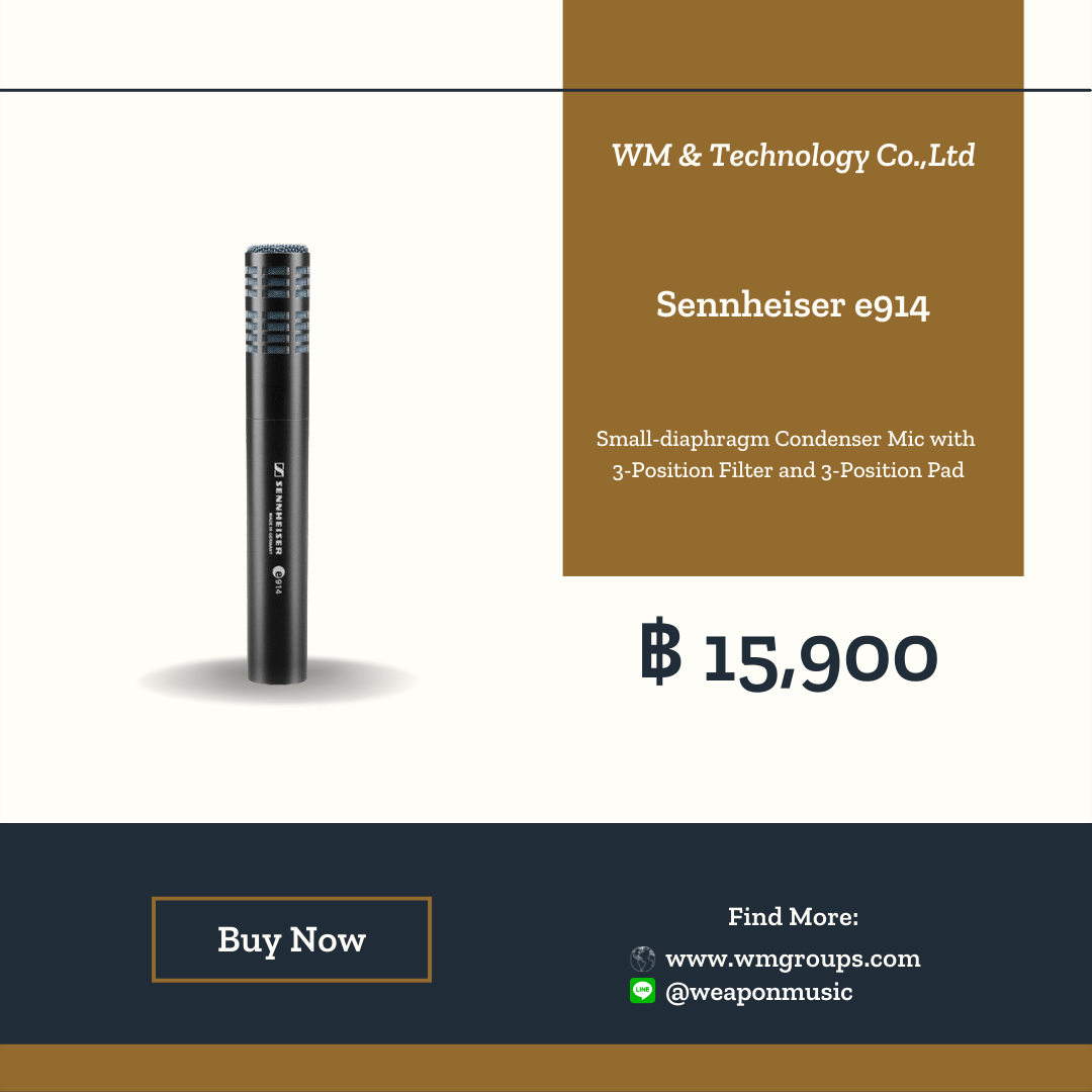 Sennheiser e914