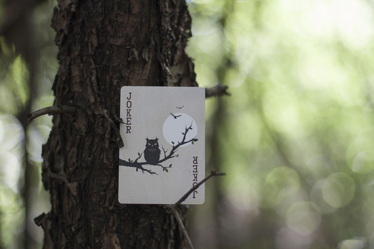 Woodlands Playing Cards By Penguin Magic