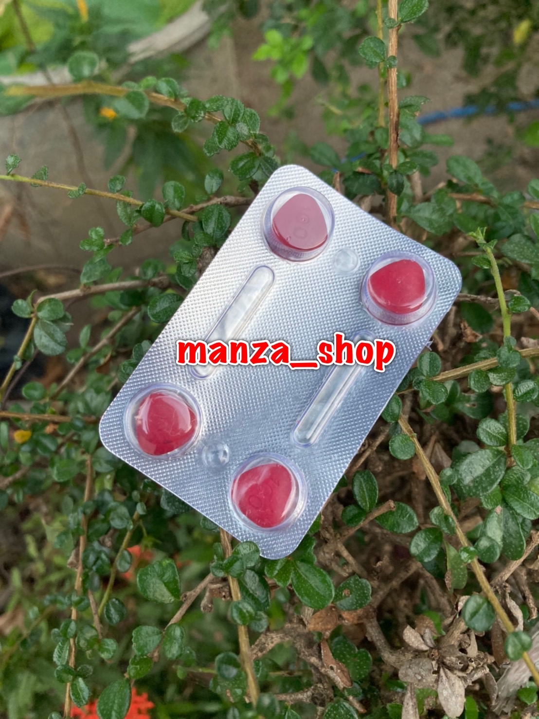 คาเวอร์ต้า (Caverta)