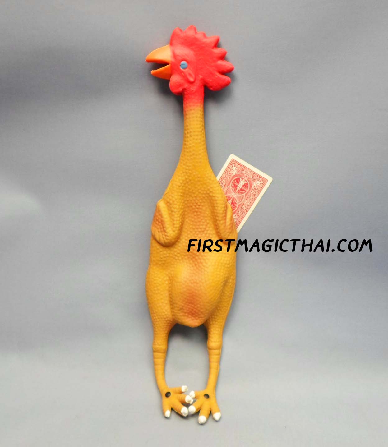 ไก่ปิ๊ป ใหญ่