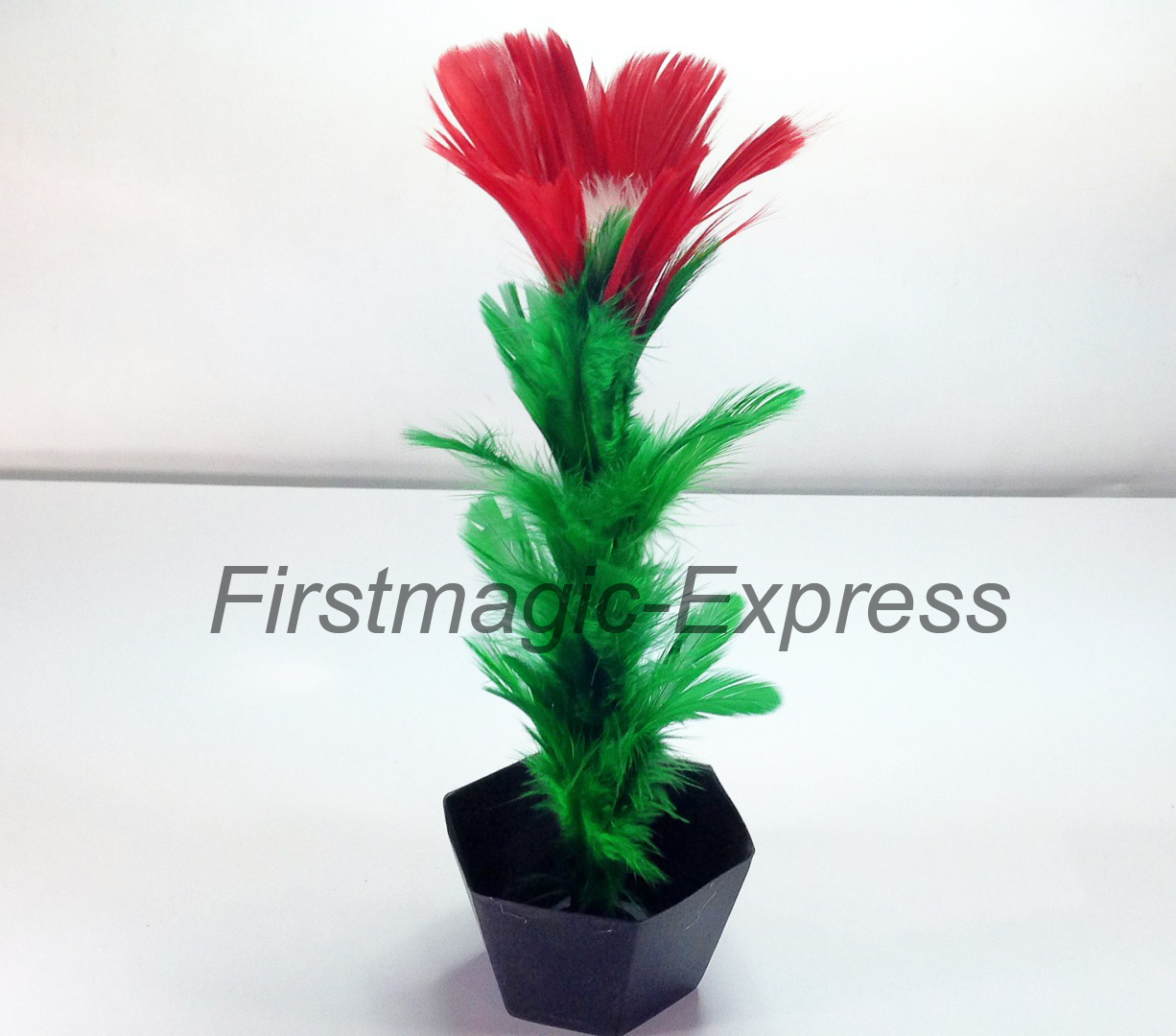 ไม้แวนเสกดอกไม้ (เกรดA) / Appearing Flower in Vase