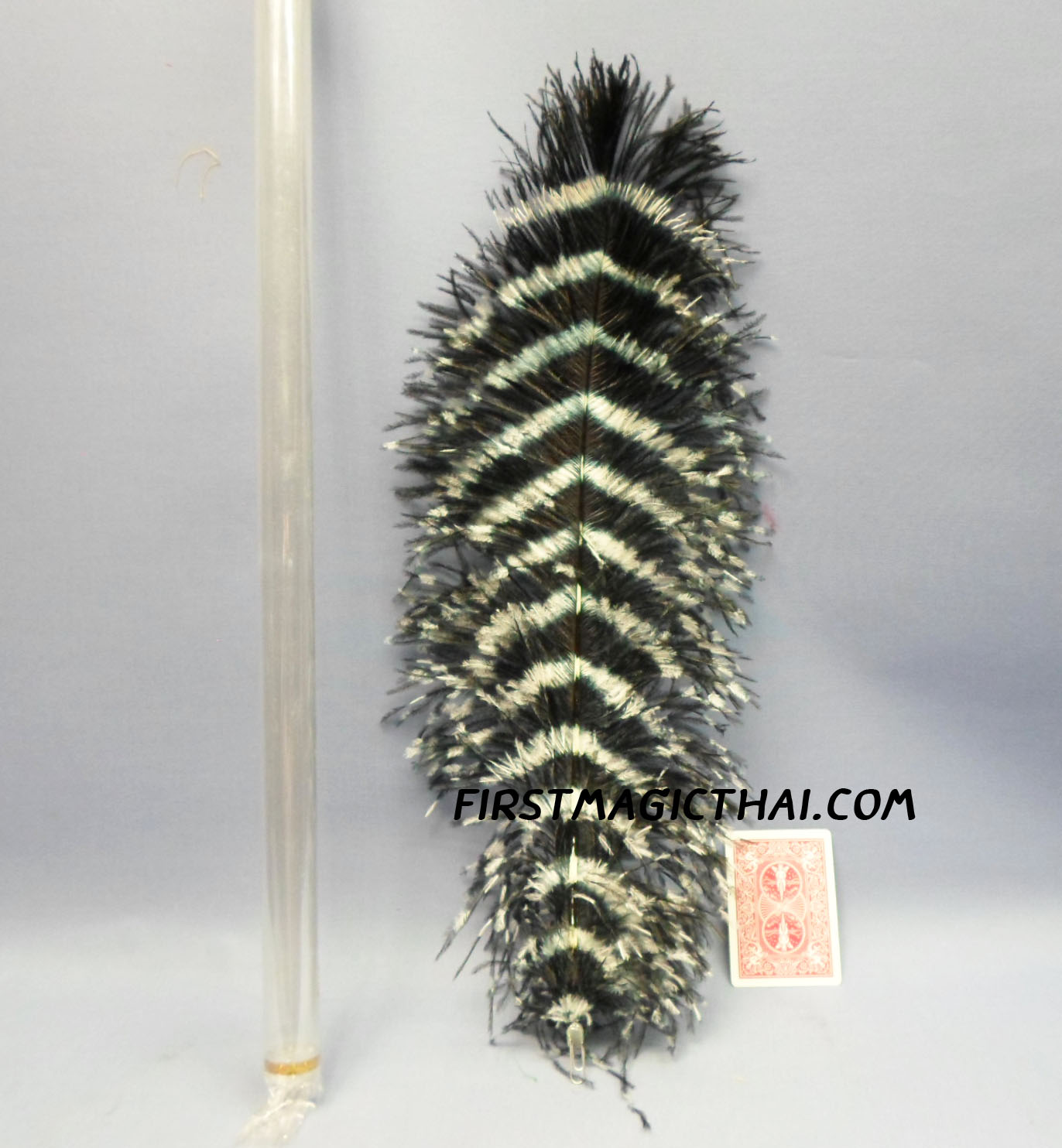Magic Feathers black by jeimin / เสกดอกไม้