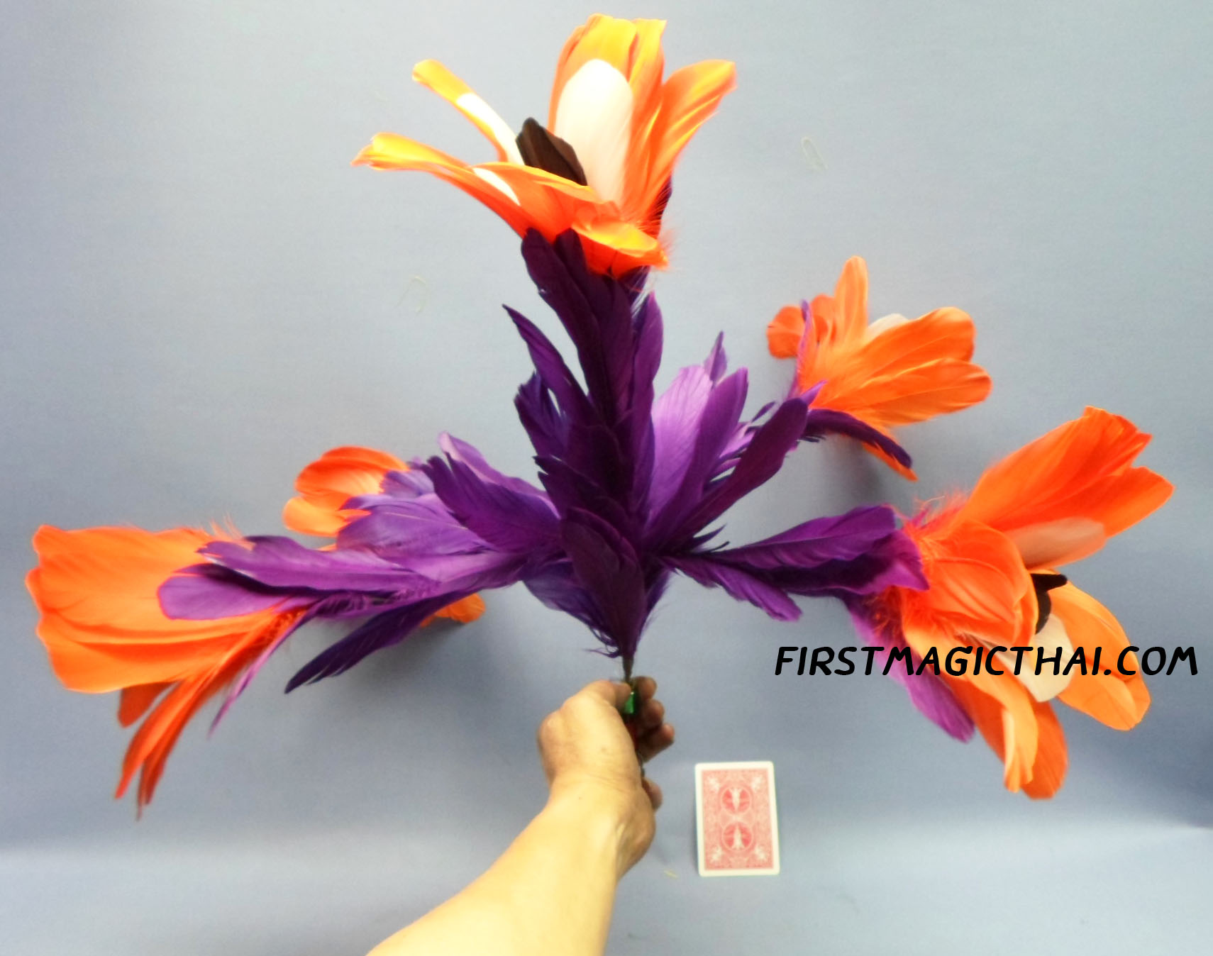 พุ่มดอกไม้สวัสดี / Bending Flower