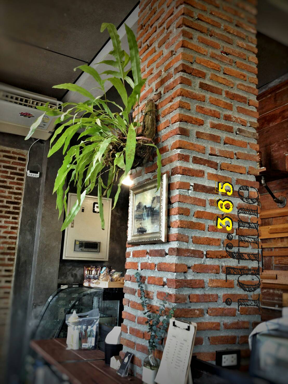 รีโนเวทร้านกาแฟ Coffee Tree @Tiwanon Soi 3
