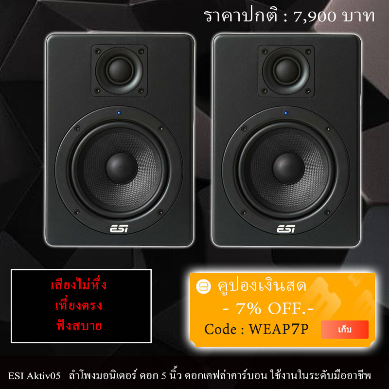 ESI aktiv 05 Studio Monitor