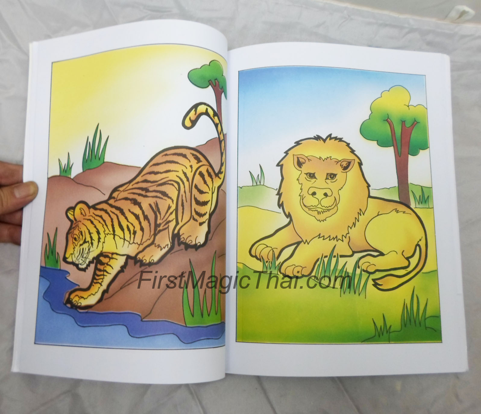 หนังสือเปลี่ยนสี ขนาดA4 ปกรูปมังกร