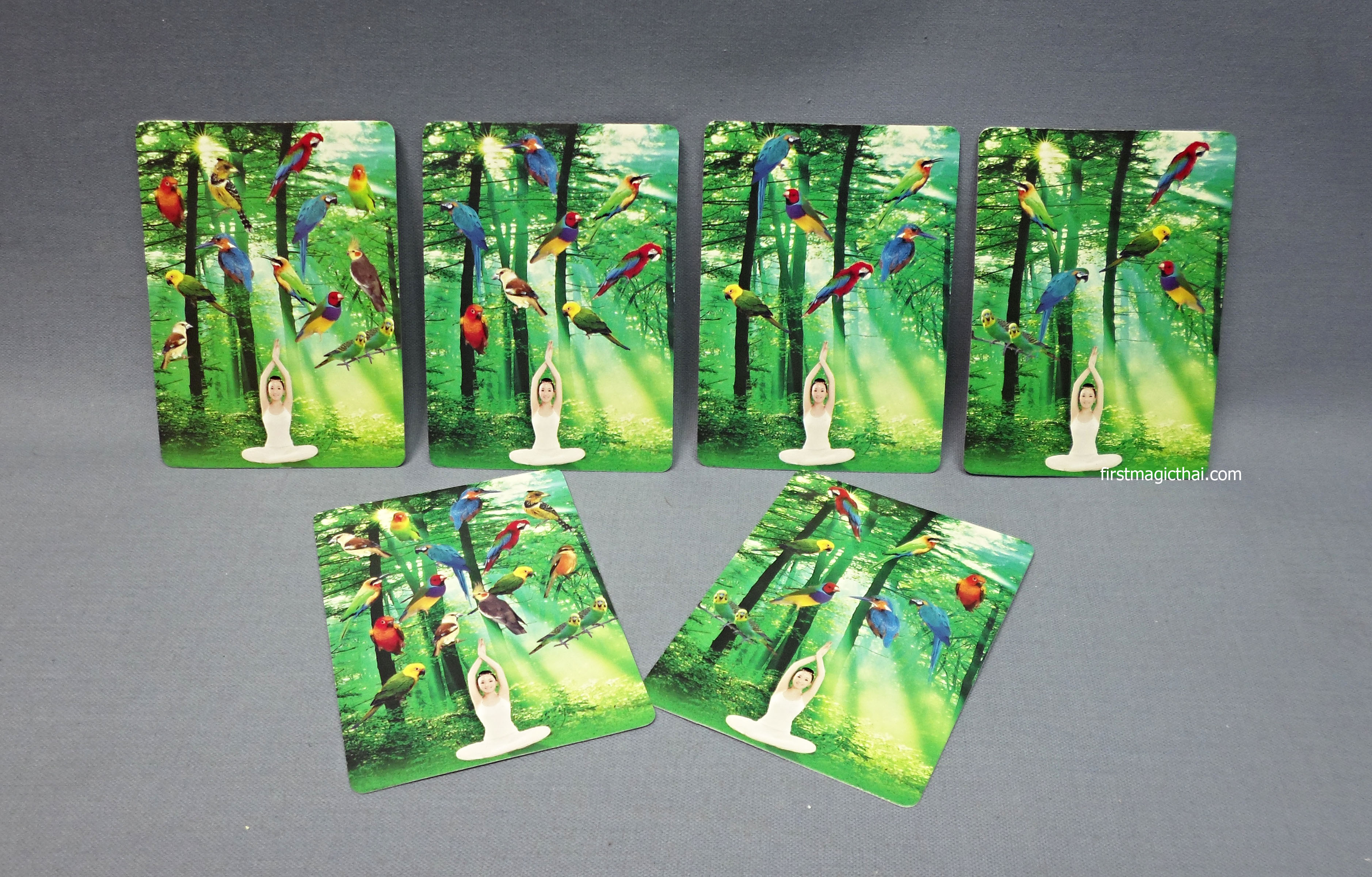 การ์ดนก ทายใจ / Bird Watcher