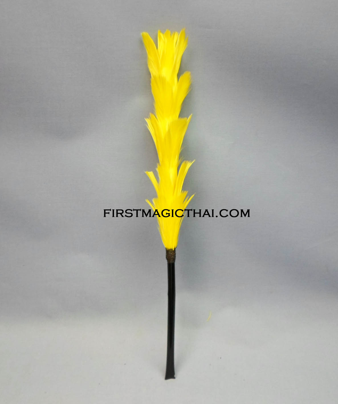 ดอกไม้เปลี่ยนสี (2สี)