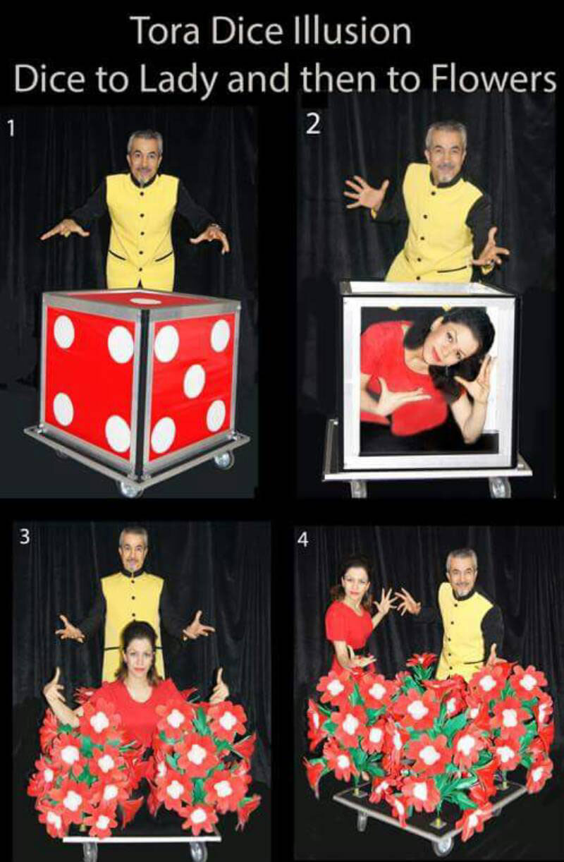 Tora Dice Illusion
