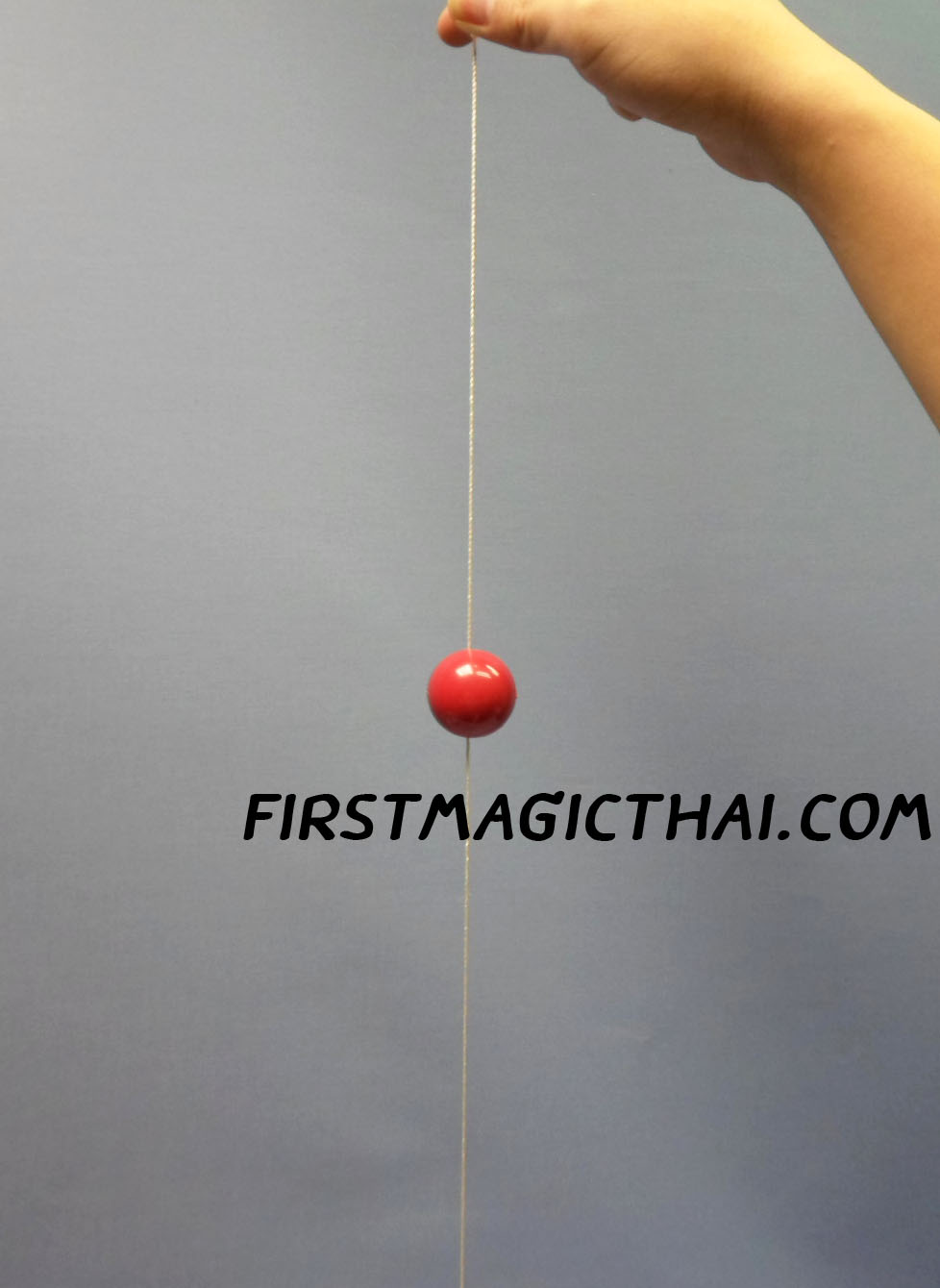 บอล ขึ้น-ลง / Obedient Ball