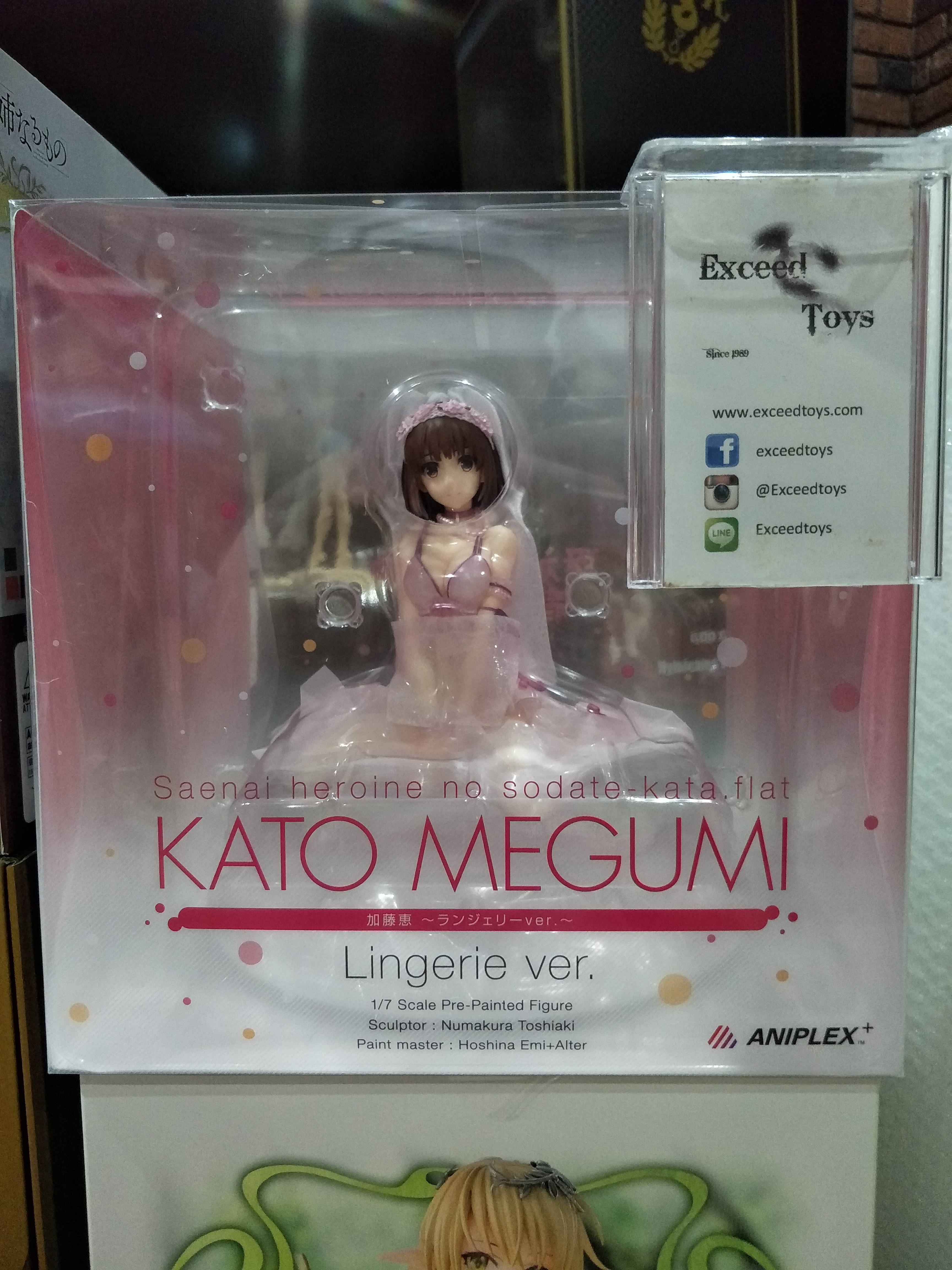 Katou Megumi Lingerie ver.