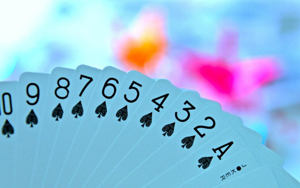 Bicycle Transducer Oriduru Edition Playing Cards