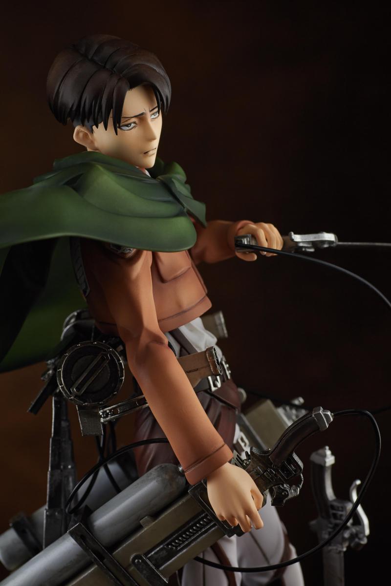Levi - 1/7 (Pulchra)