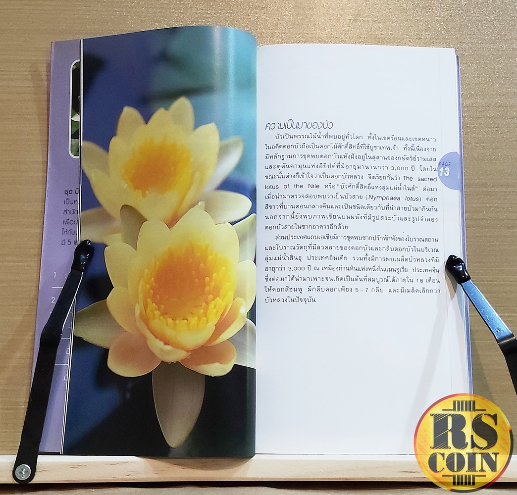 หนังสือ มือใหม่หัดปลูกบัว - อุไร จิรมงคลการ (บ้านและสวน)