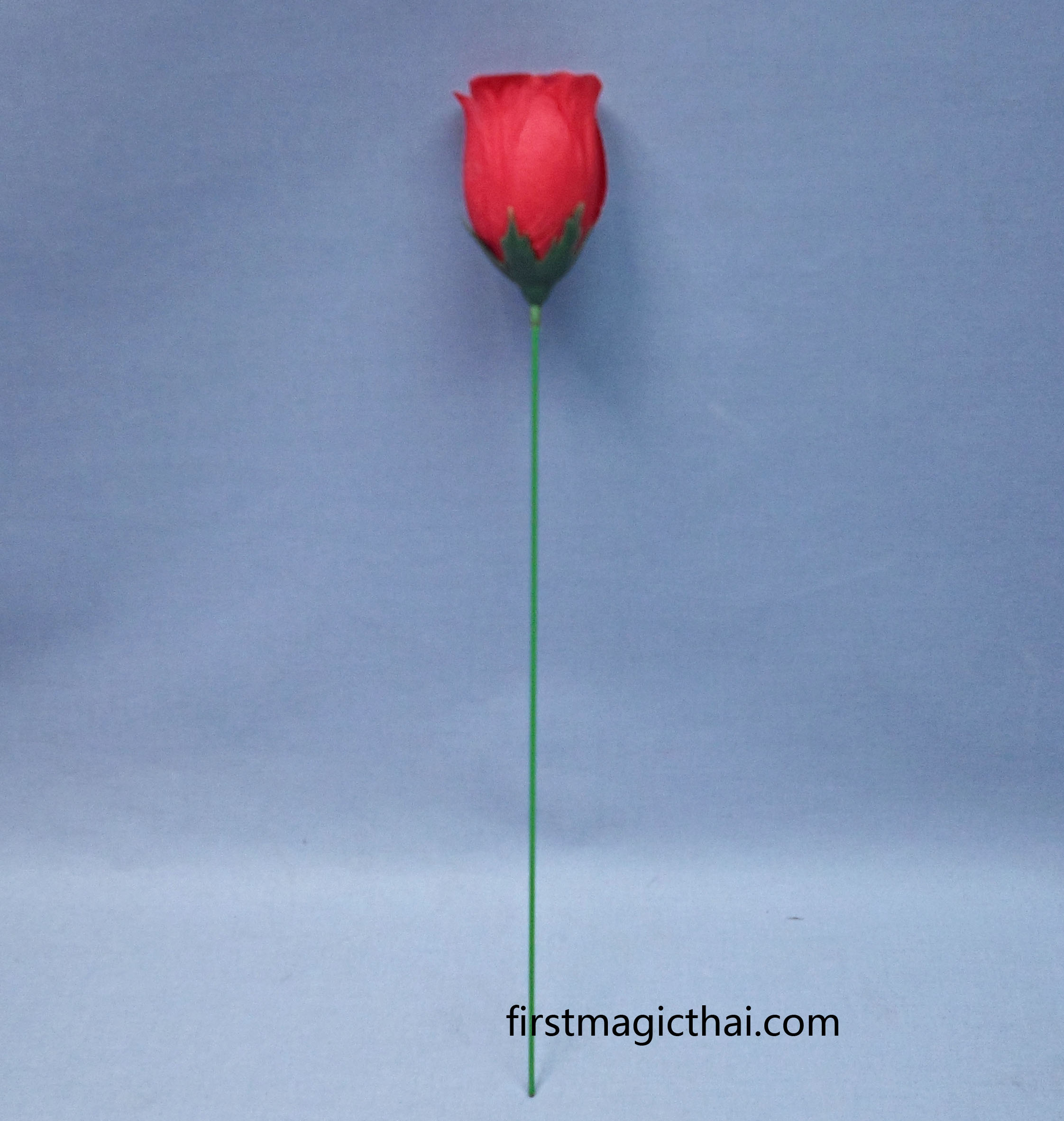 คบเพลิงดอกไม้ รุ่นใหม่ / Torch to Rose