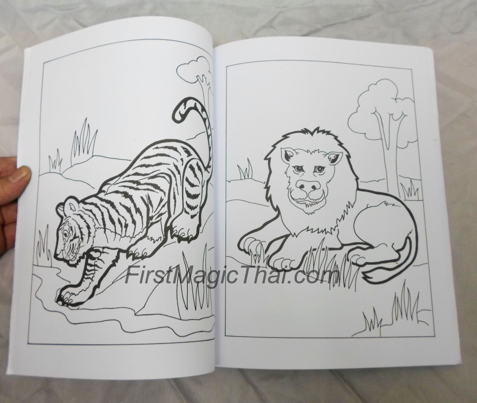 หนังสือเปลี่ยนสี ขนาดA4 ปกรูปมังกร