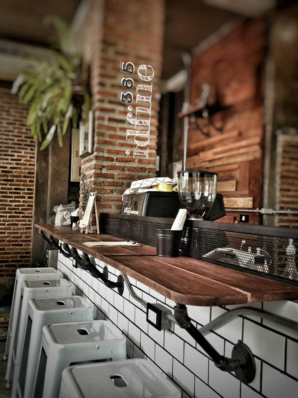 รีโนเวทร้านกาแฟ Coffee Tree @Tiwanon Soi 3