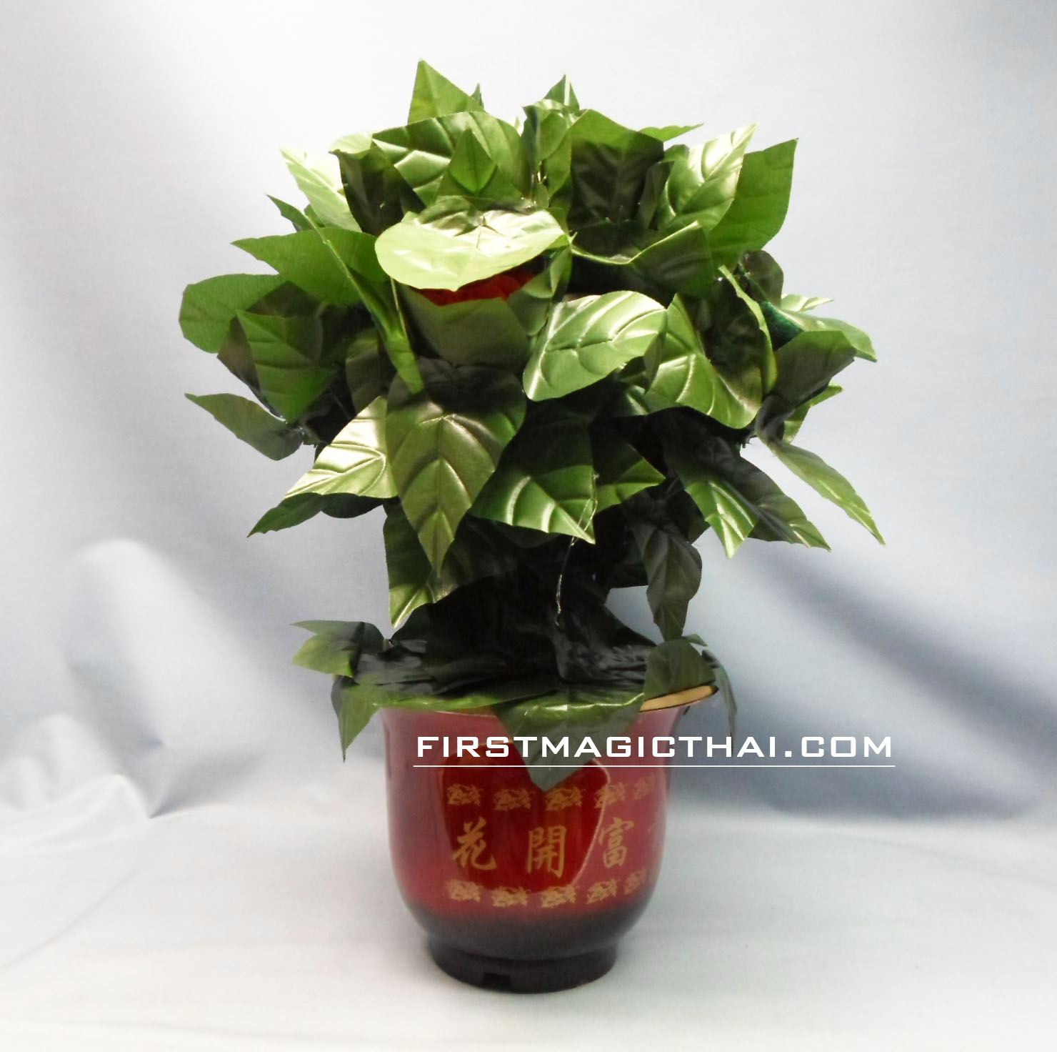 เสกดอกไม้ พร้อม กระถาง 10 ดอก (รีโมท)