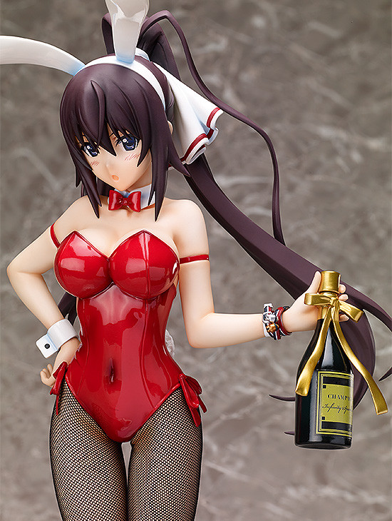 Shinonono Houki Bunny ver.