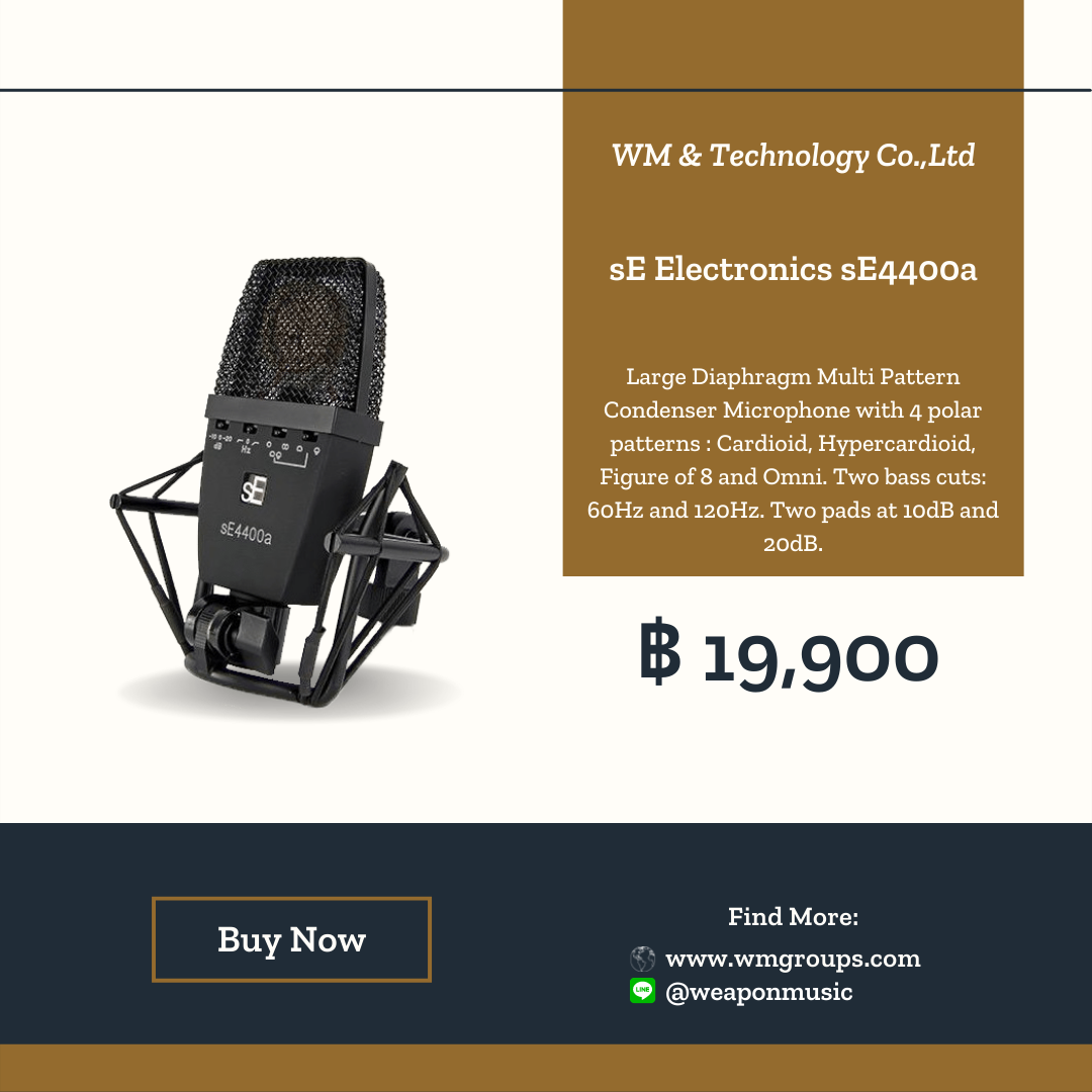 sE Electronics sE4400a