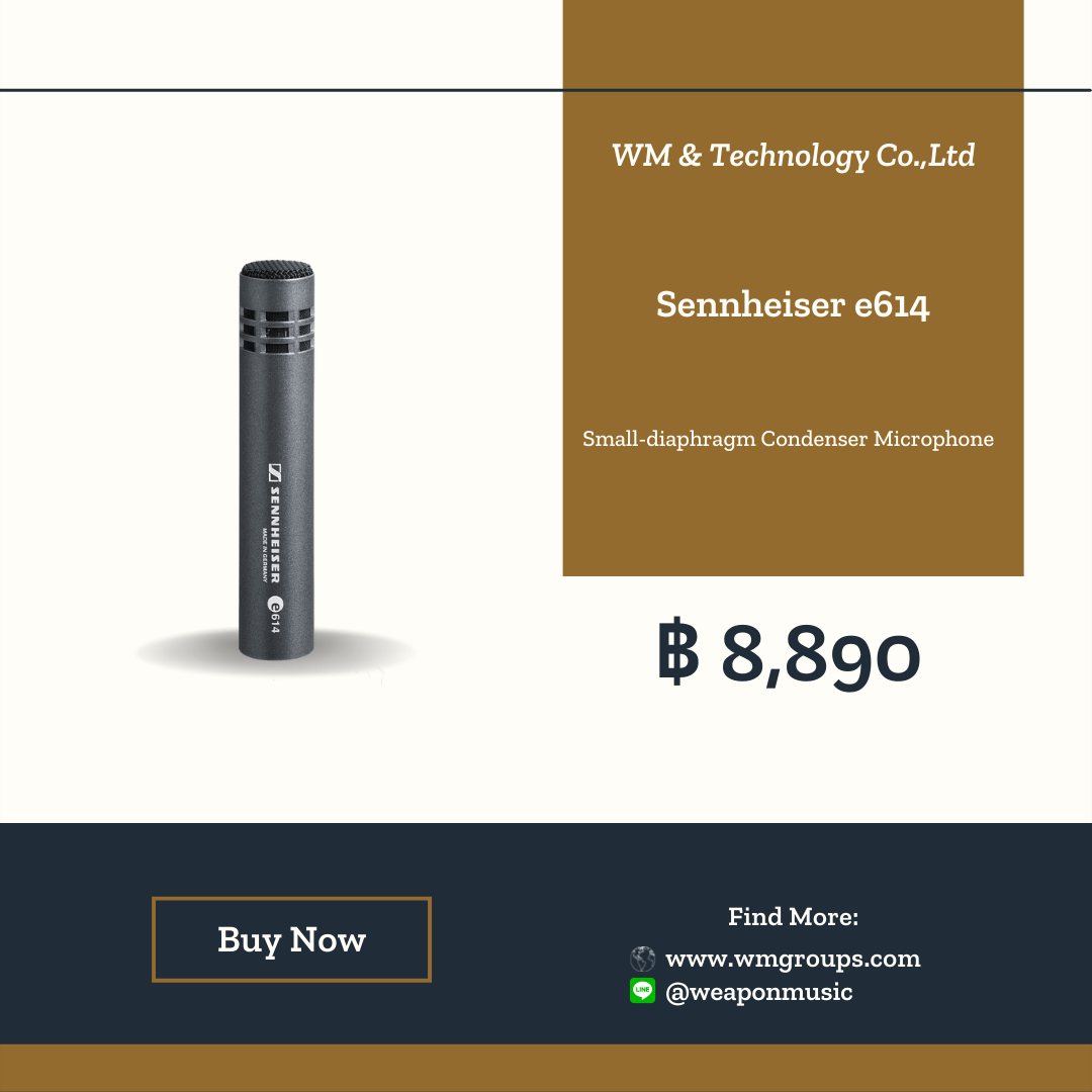 Sennheiser e614