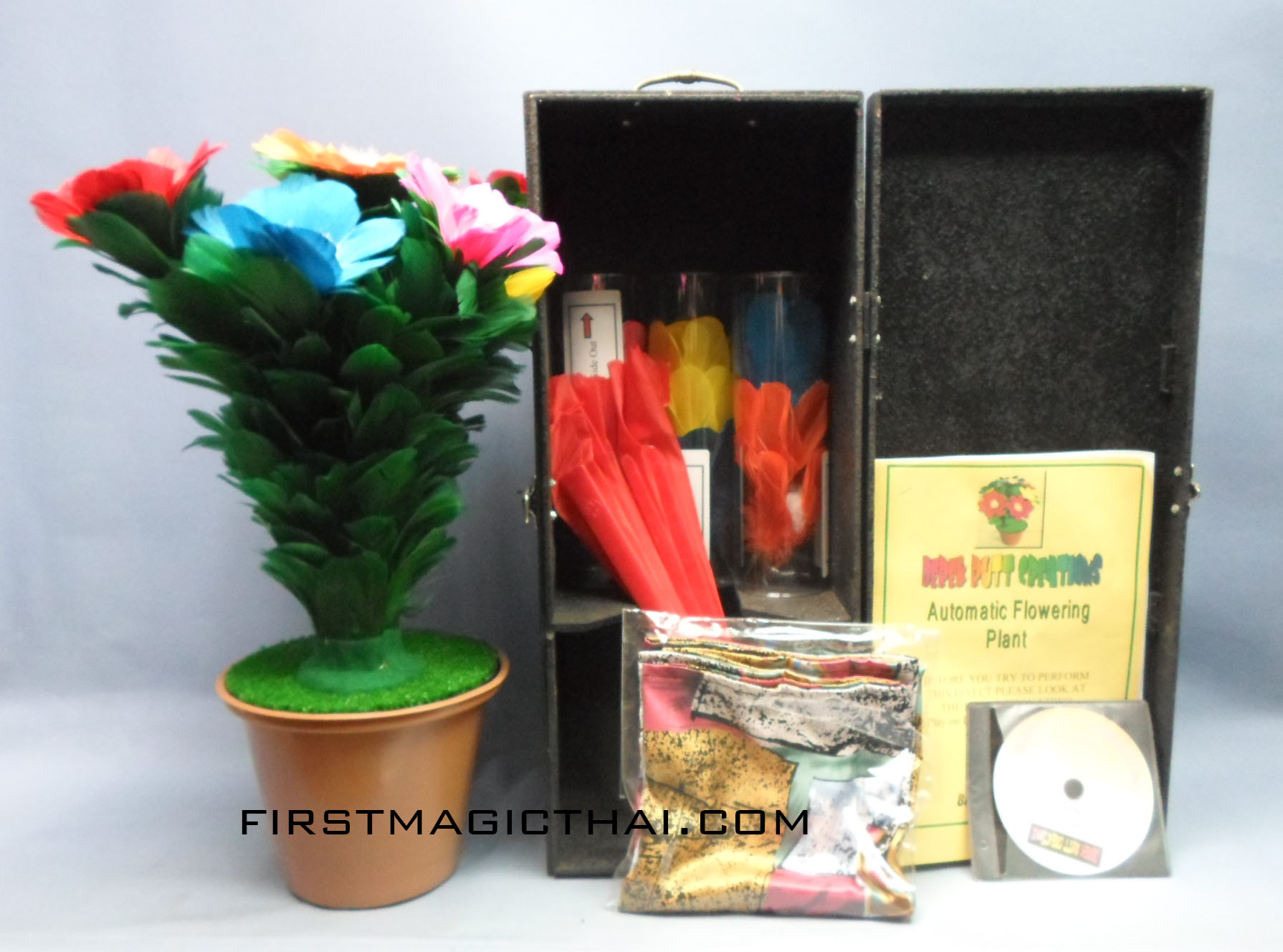 เสกดอกไม้ขนไก่ / Automatic Flowering Plant