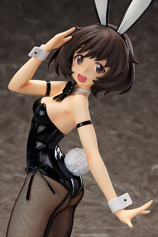 Yukari Akiyama: Bunny Ver.