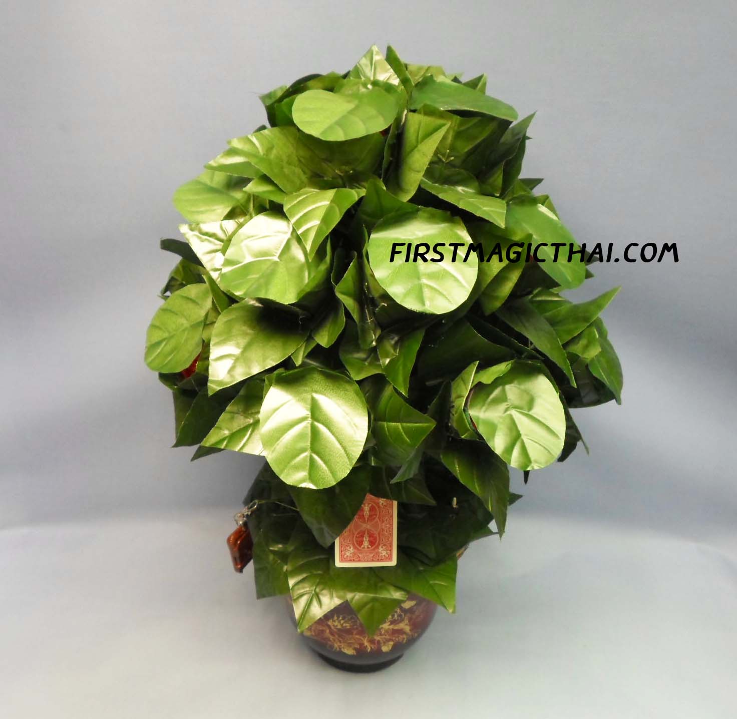 เสกดอกไม้ 20 ดอก / Blooming Rose 20 (70cm)