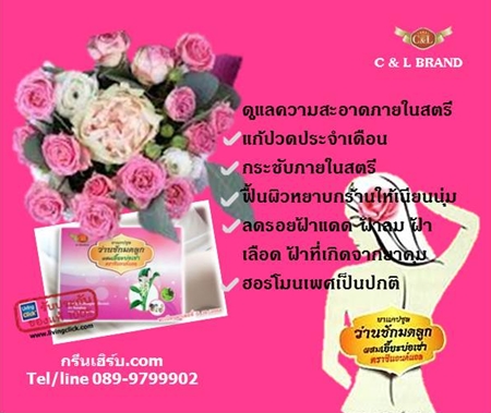 ว่านชักมดลูกผสมเอี๊ยะบ่อเช่า 40 แคปซูล