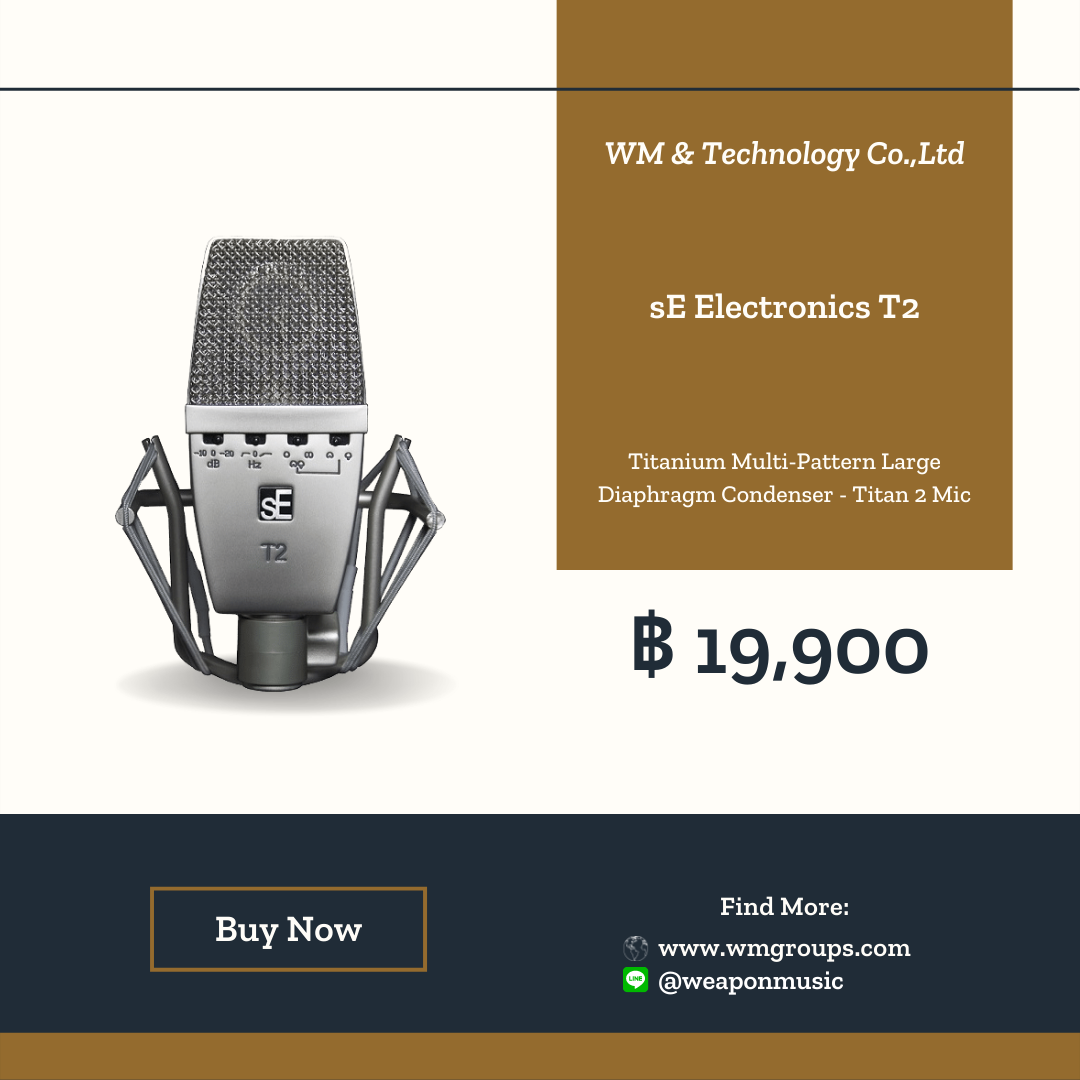 sE Electronics T2