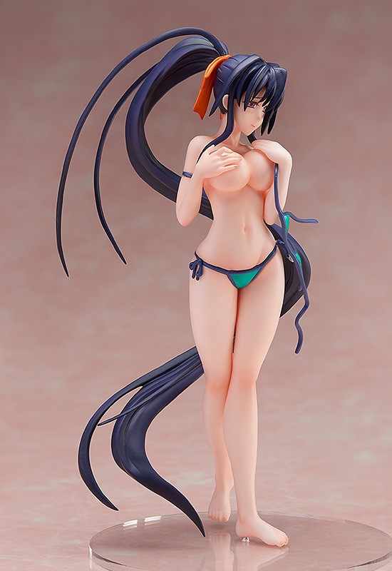 Akeno Himejima: Swimsuit Ver.