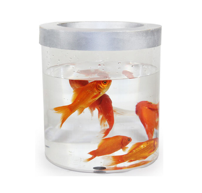 โถเสกปลา / Fish Appear