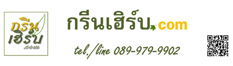 กรีนเฮิร์บ