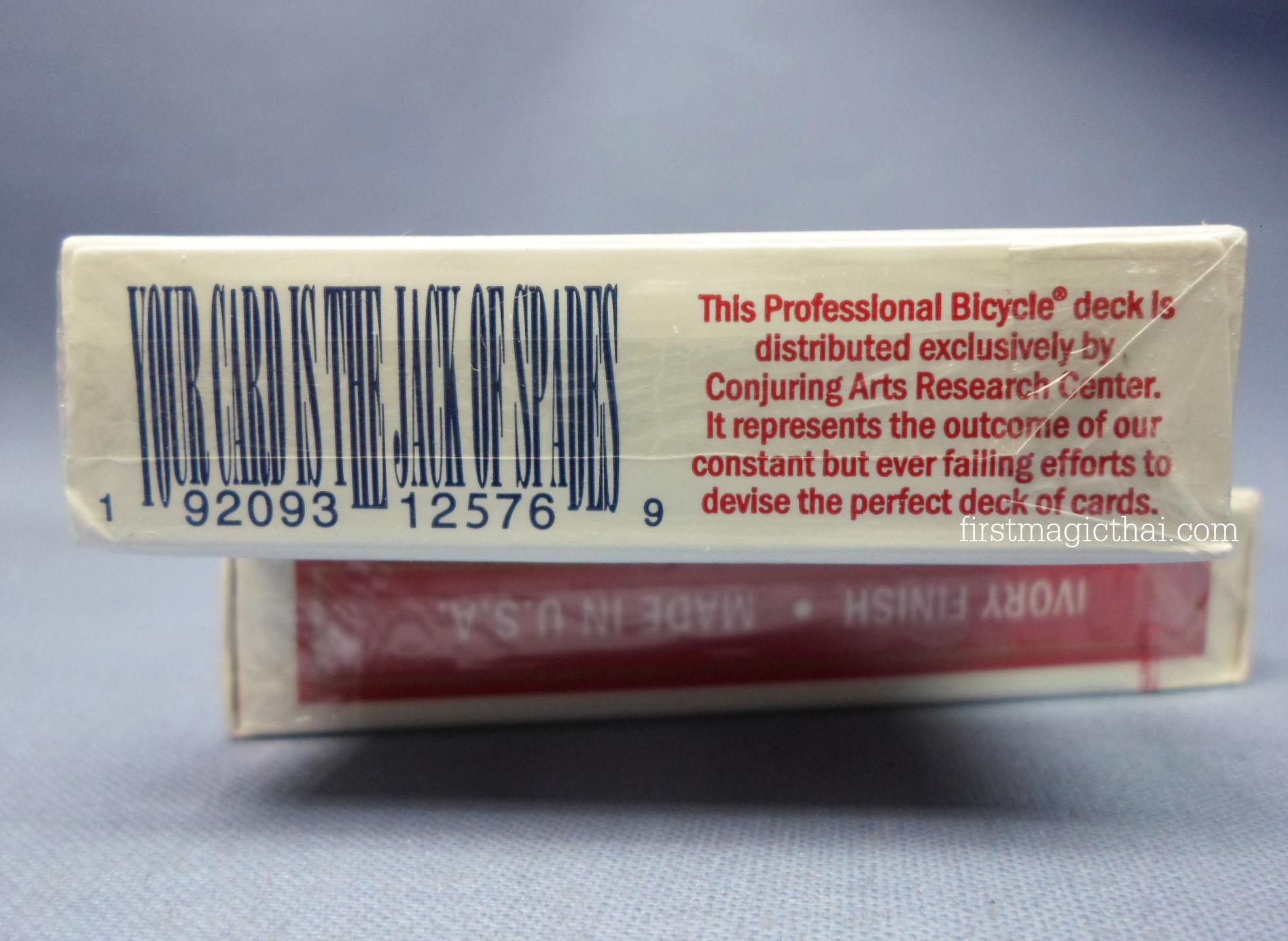 Bicycle Rider Back Professional Edition