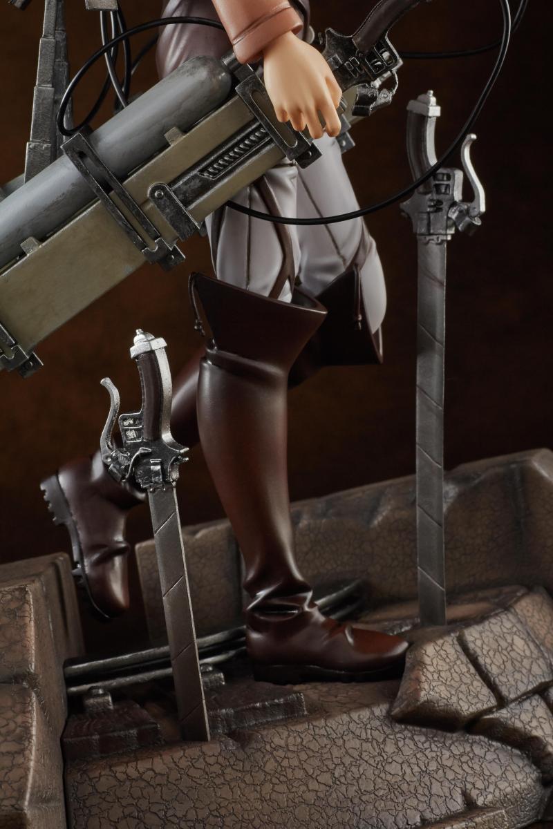 Levi - 1/7 (Pulchra)