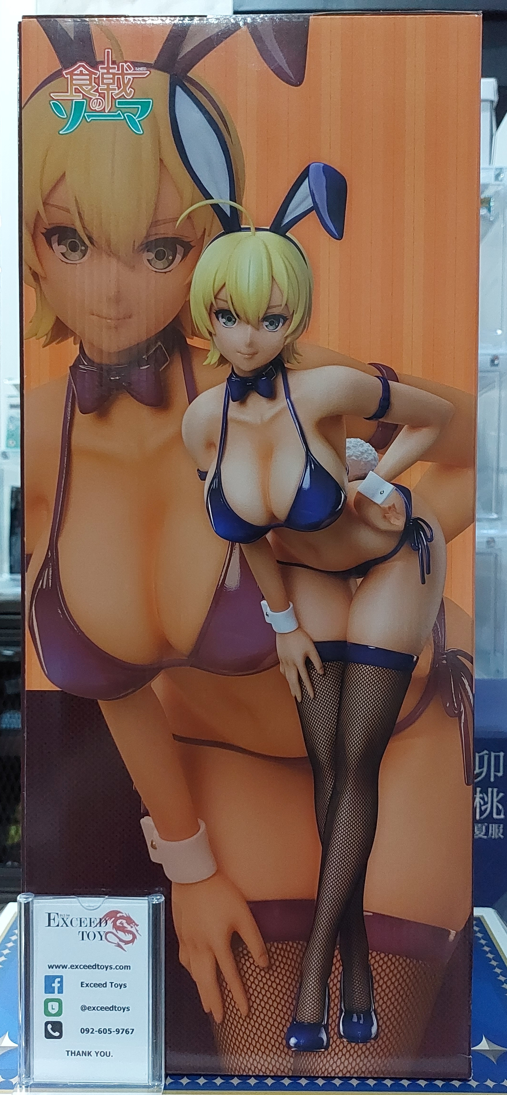 Ikumi Mito Bunny Ver.